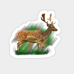 Rehe Sticker